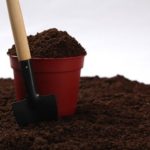 植え替え後のモンステラにおすすめな用土とは？